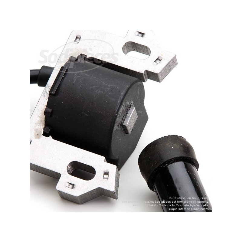 Honda gcv160 magneto #4