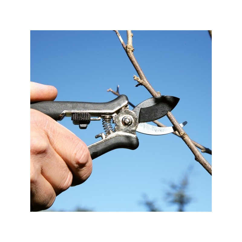 Set de 2 sécateurs à fleur