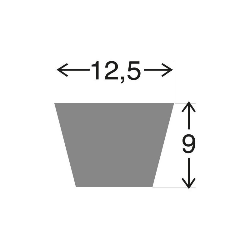 Courroie 17295C . 12.5 x  750 LA