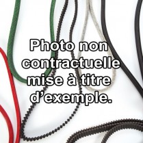 Courroie 12,7 x 1156