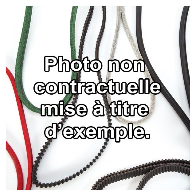 Courroie 12,7 x 1156