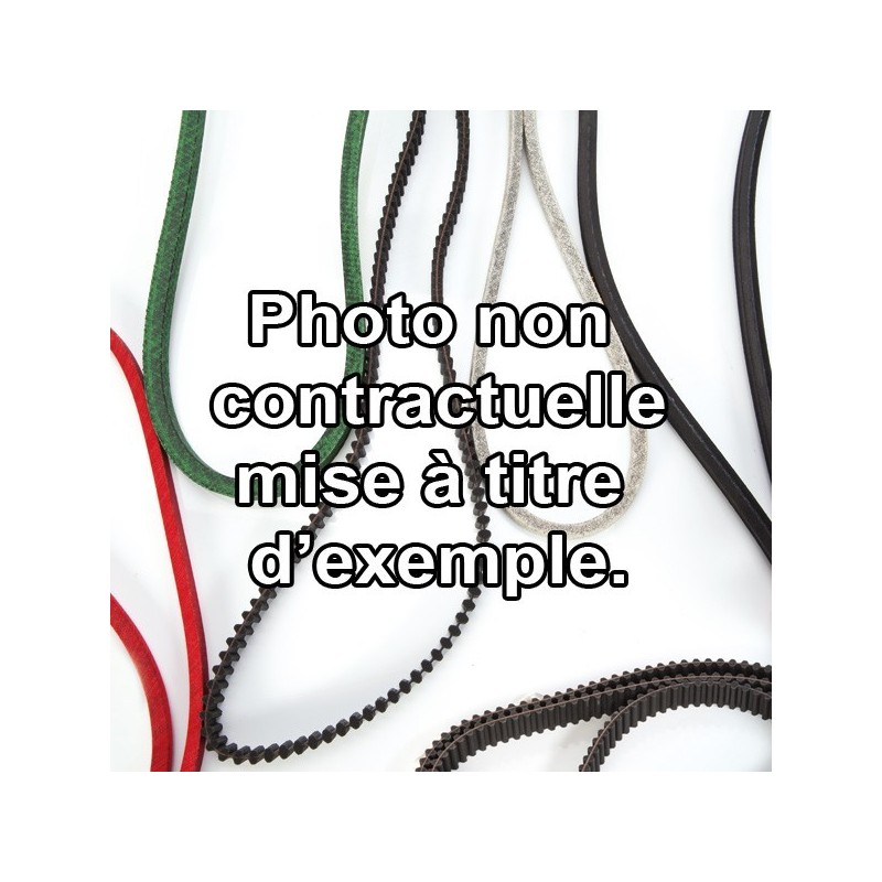 Courroie 12,7 x 1156