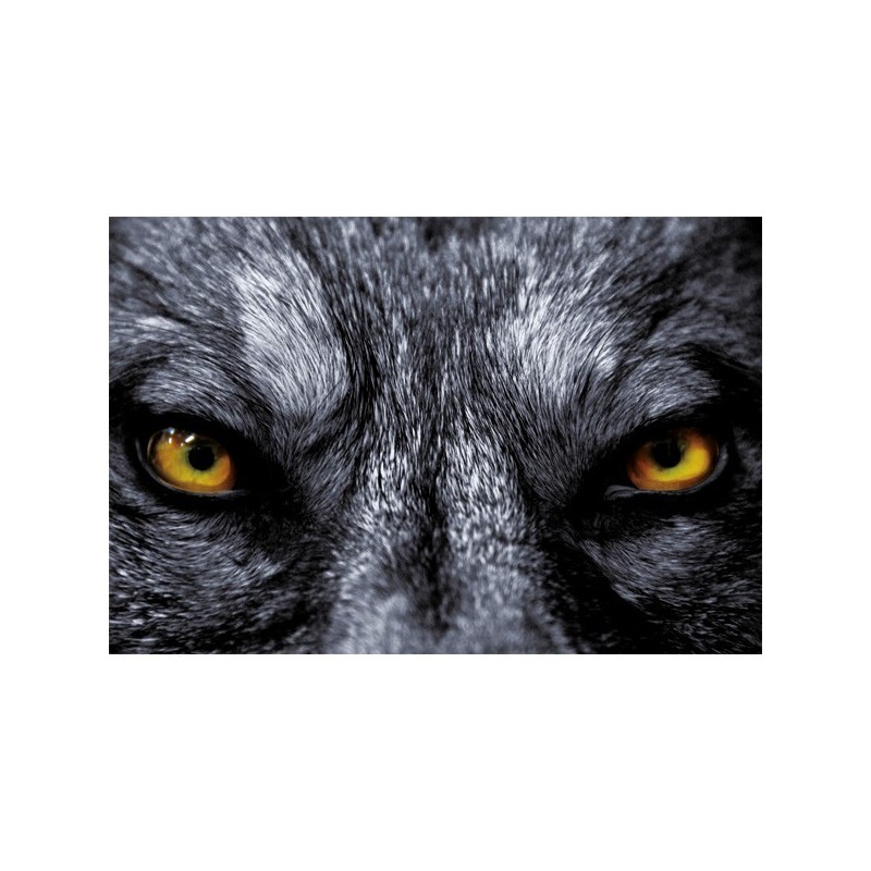 Guide + chaine 3Ocm,3/8"LP