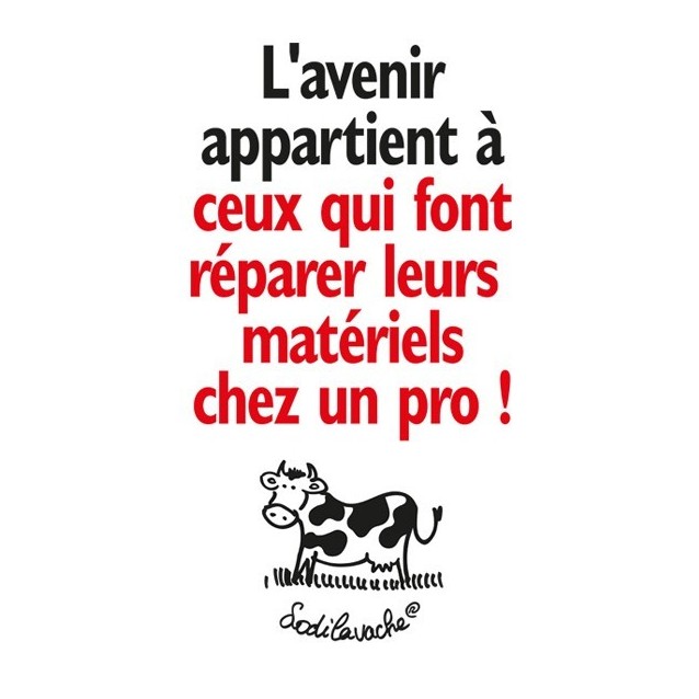 T-shirt l'avenir homme taille L