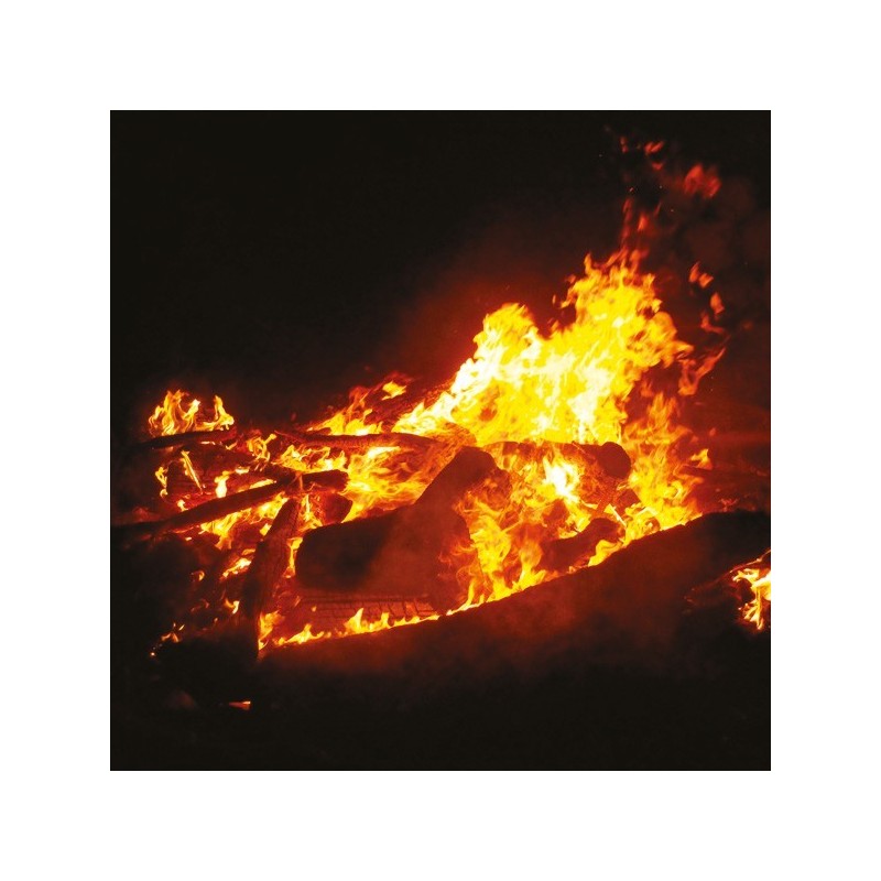 Gants pour chaleur et feu taille 10