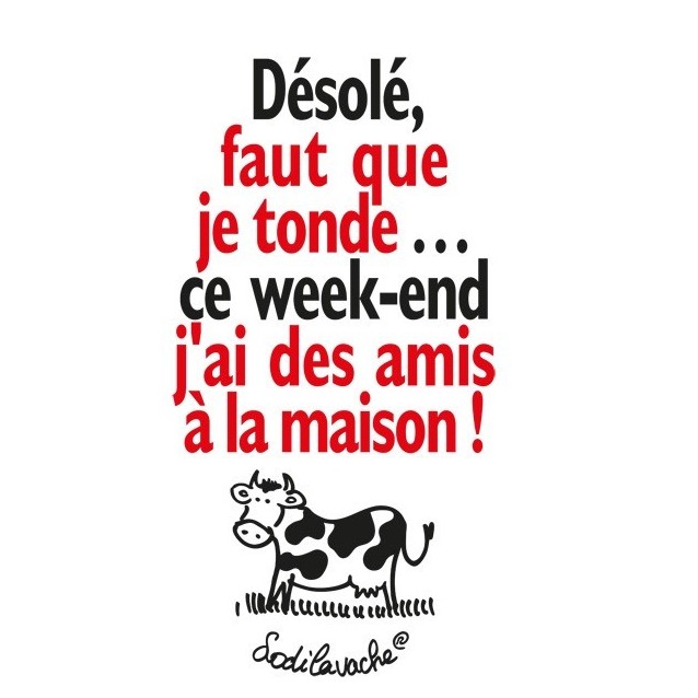 T-shirt "Désolé faut que je tonde, j'ai..." Homme Taille L T-shirt "Désolé faut que je tonde, j'ai..." Homme Taille L