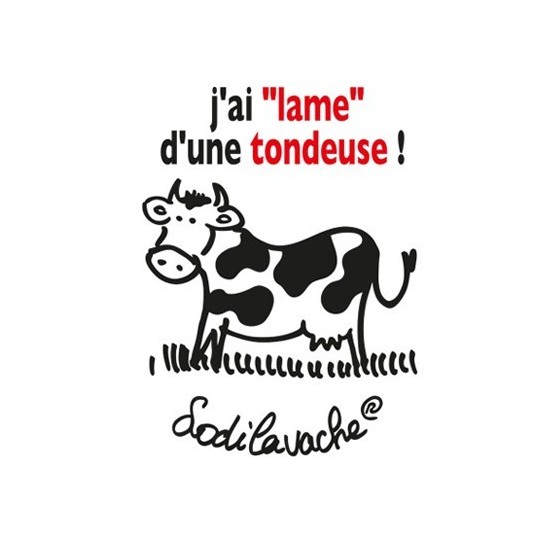 T-shirt : " J'ai lame d'une tondeuse... !" Femme Taille S