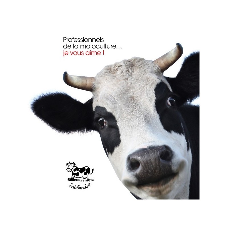 T-shirt : "Je débroussaille avec du fil... " Femme Taille M