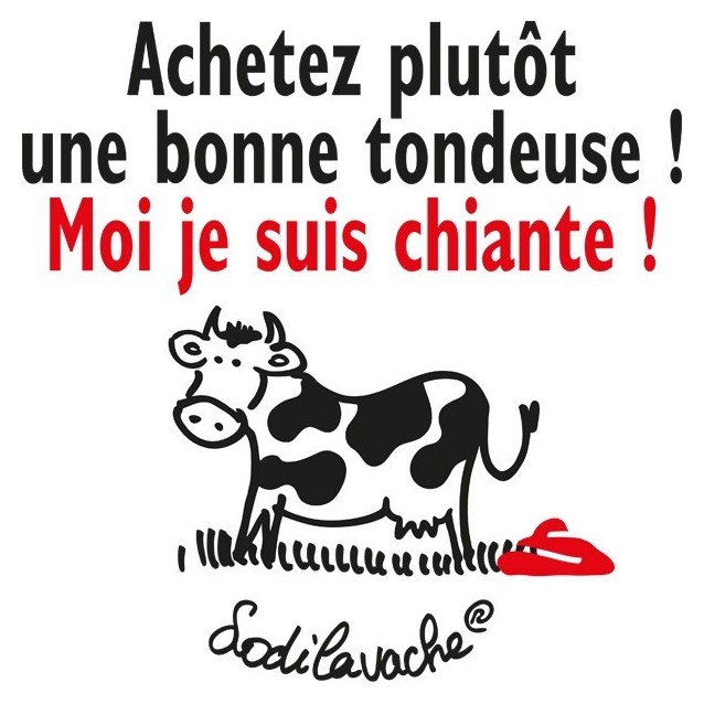 T-shirt "Achetez plutôt une bonne..."  femme taille M