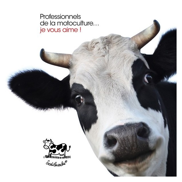 T-shirt "Achetez plutôt une bonne..."  Homme Taille L