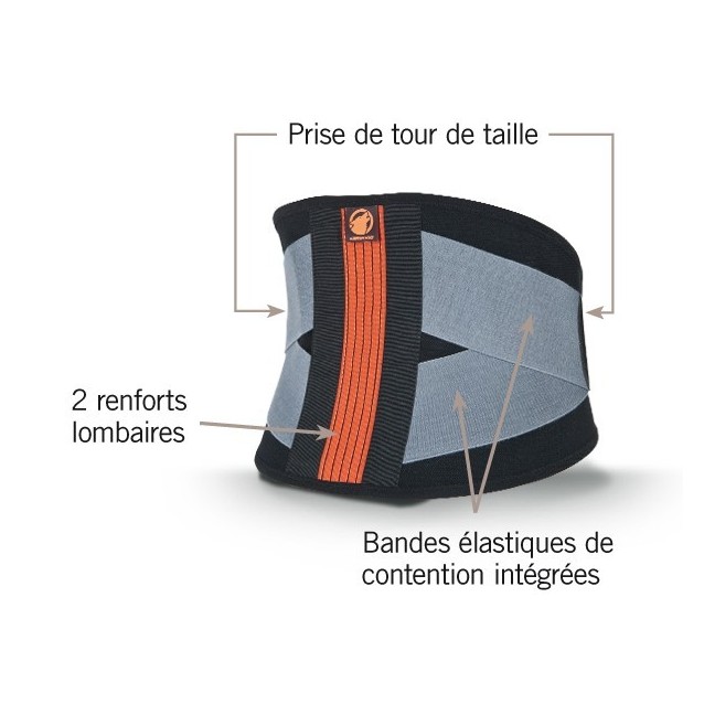  Ceinture dorsale Kerwood 