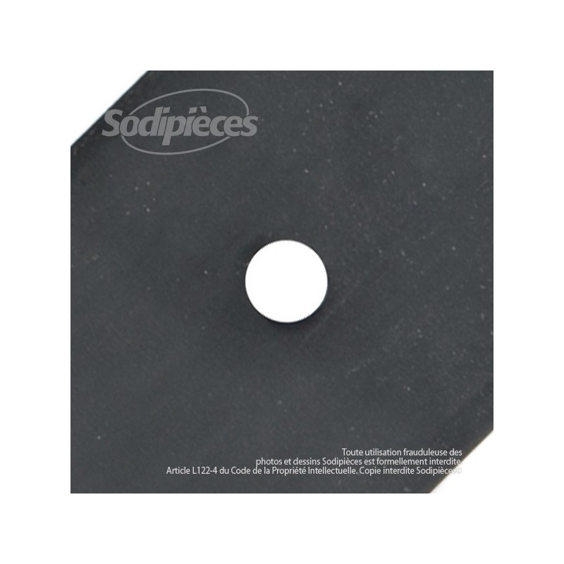 Lame pour Roper 98111, 71285, 25645R, 75270, 105210X. Coupe 46 cm