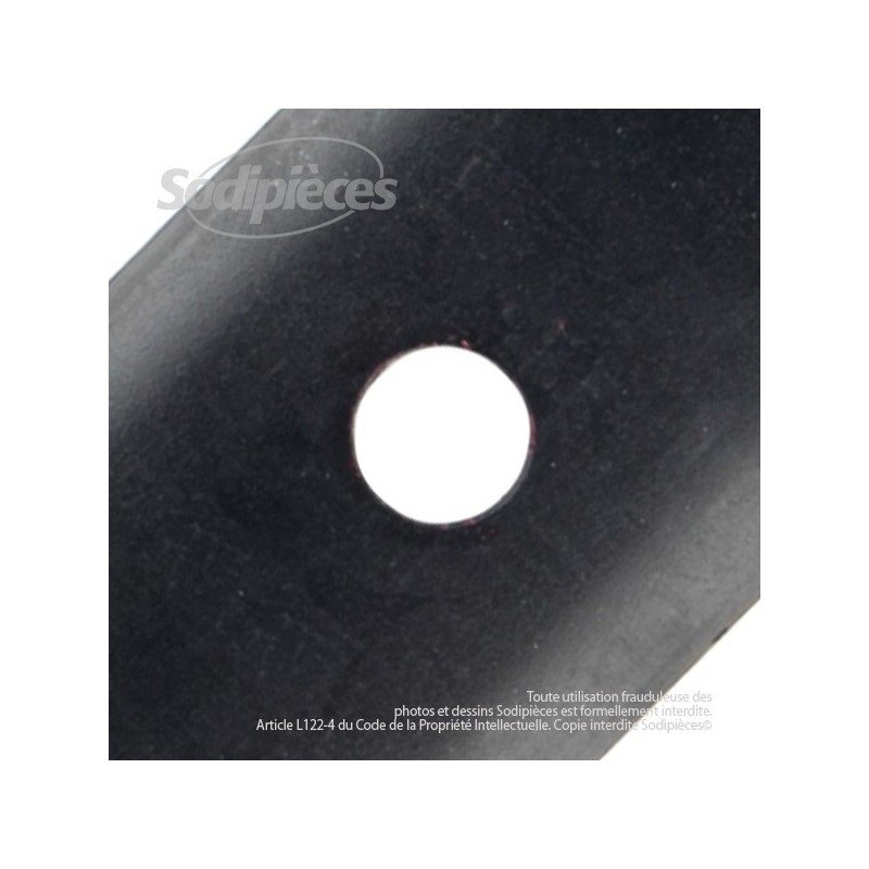 Lame pour Roper 8021, 56401. Coupe 55 cm