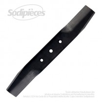 Lame . Coupe 37 cm. Section 50 x 3,5. Alèsage 10 .