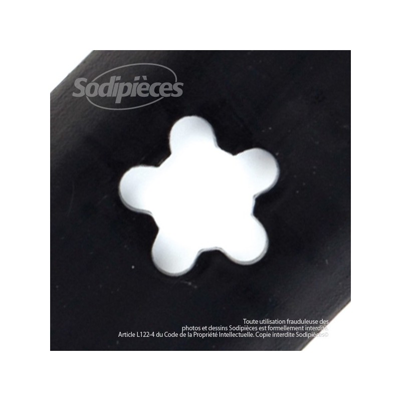 Lame pour Roper 137380. Coupe 44,1 cm