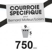Courroie Spécifique Bernard Moteur 408018. 9 mm x 750 mm.