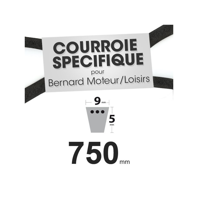 Courroie Spécifique Bernard Moteur 408018. 9 mm x 750 mm.