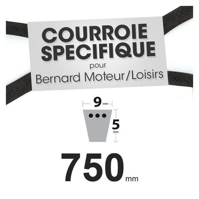 Courroie Spécifique Bernard Moteur 408018. 9 mm x 750 mm.