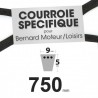 Courroie Spécifique Bernard Moteur 408018. 9 mm x 750 mm.