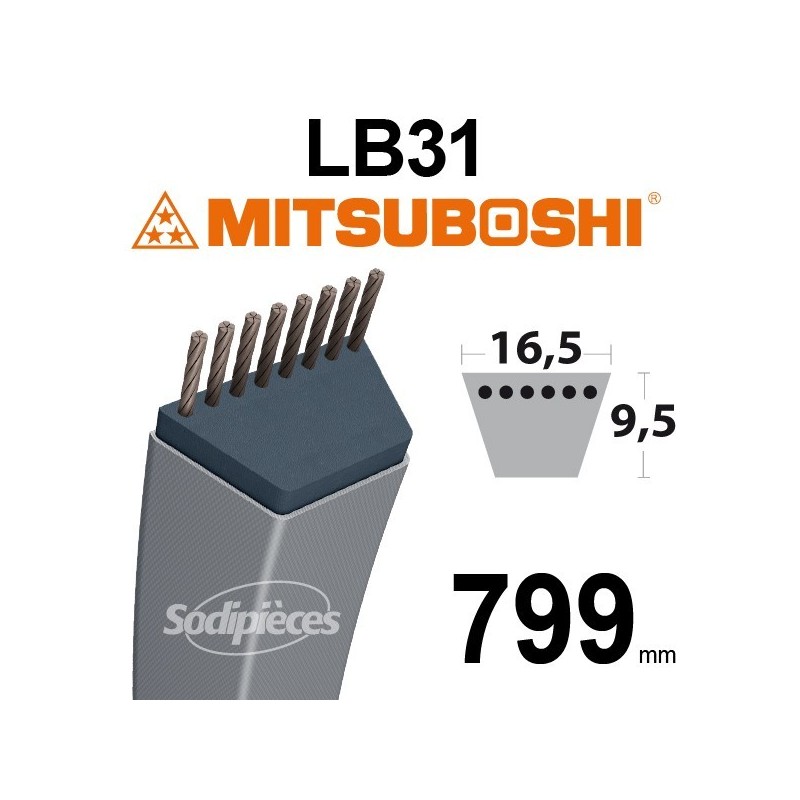 Courroie LB31 Mitsuboshi. 16,5 mm x 799 mm.