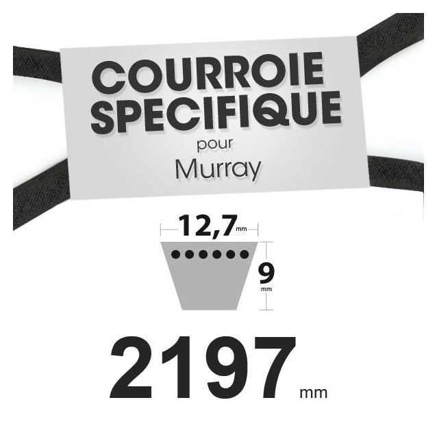 Courroie spécifique Murray 37 x 80. 12,7 mm x 2197 mm.