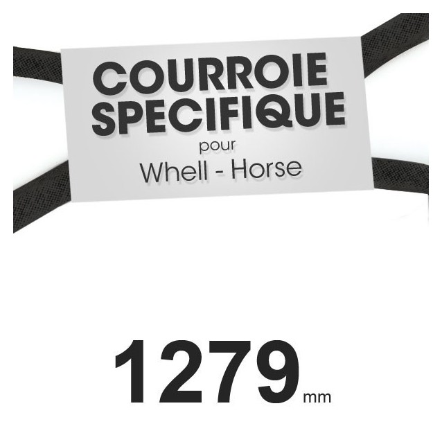 Courroie spécifique Toro 51-4290. 13 mm x 1279 mm.