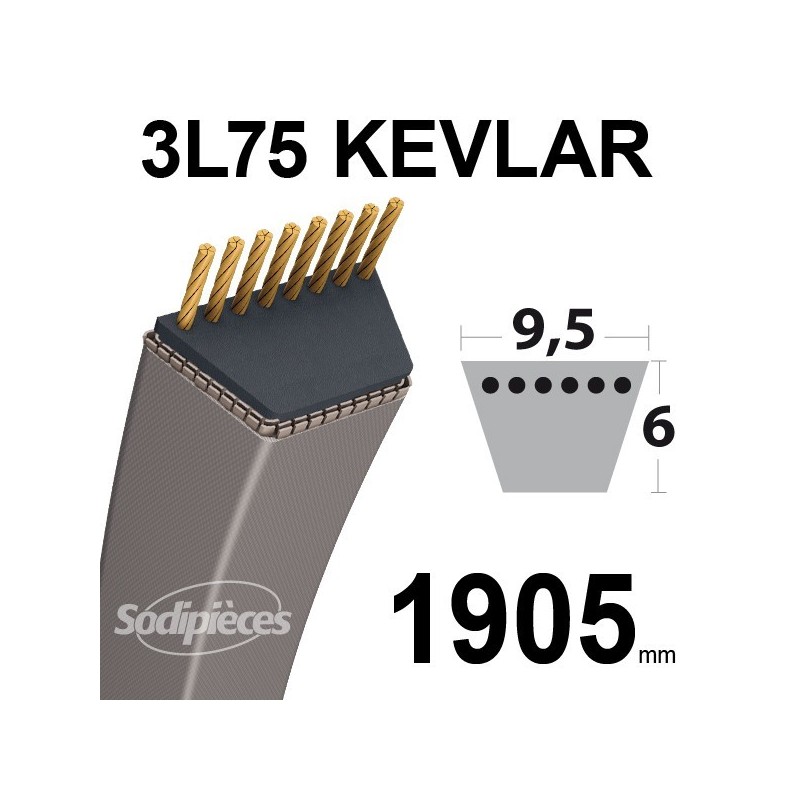 Courroie 3L75 Kevlar Trapézoïdale. 9,5 mm x 1905 mm.