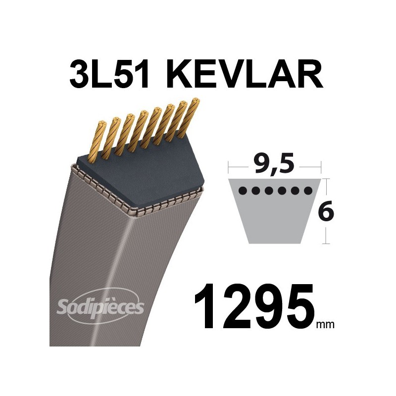 Courroie 3L51 Kevlar Trapézoïdale. 9,5 mm x 1295 mm.
