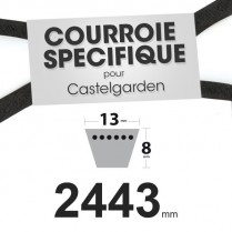 Courroie spécifique Castelgarden 35062001/0. 13 mm x 2443 mm.