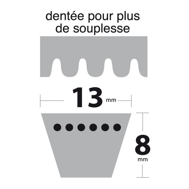 Courroie AX48 Trapézoïdale crantée. 13 mm x 1269 mm.