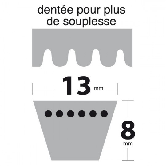 Courroie AX48 Trapézoïdale crantée. 13 mm x 1269 mm.