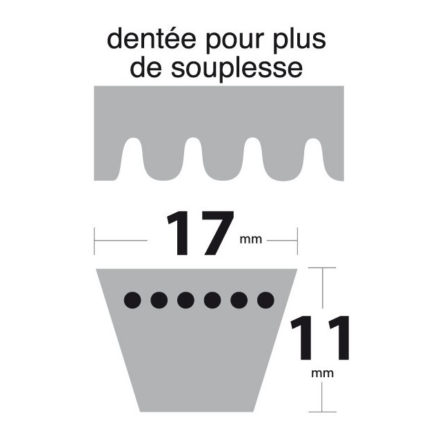 Courroie BX44 Trapézoïdale crantée. 17 mm x 1185 mm.