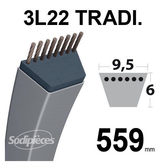 Courroie 3L220 Traditionnelle Trapézoïdale. 9,5 mm x 559 mm.