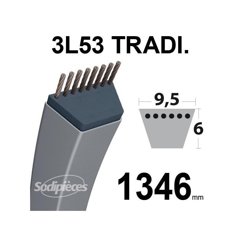 Courroie 3L530 Traditionnelle Trapézoïdale. 9,5 mm x 1346 mm.