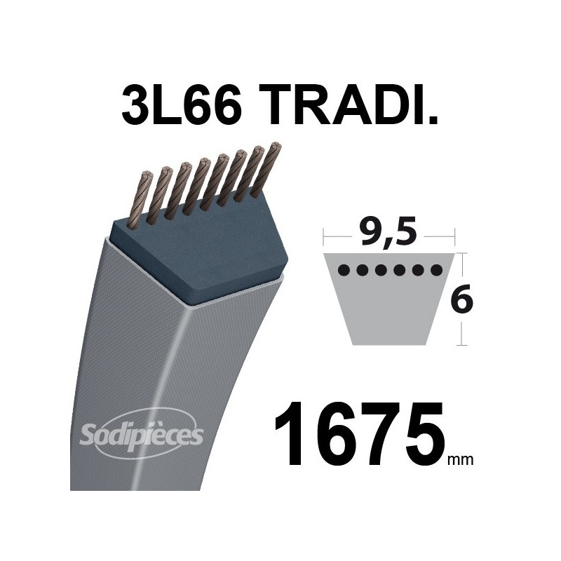 Courroie 3L660 Traditionnelle Trapézoïdale. 9,5 mm x 1675 mm.