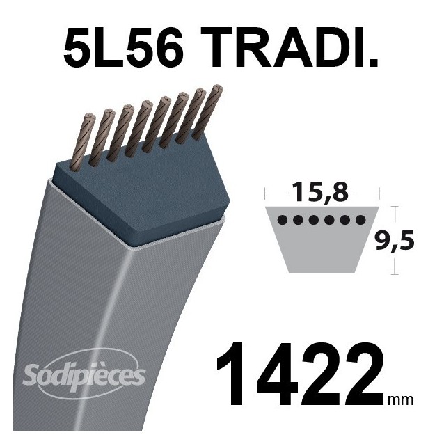 Courroie 5L560 Traditionnelle Trapézoïdale. 15,8 mm x 1422 mm.