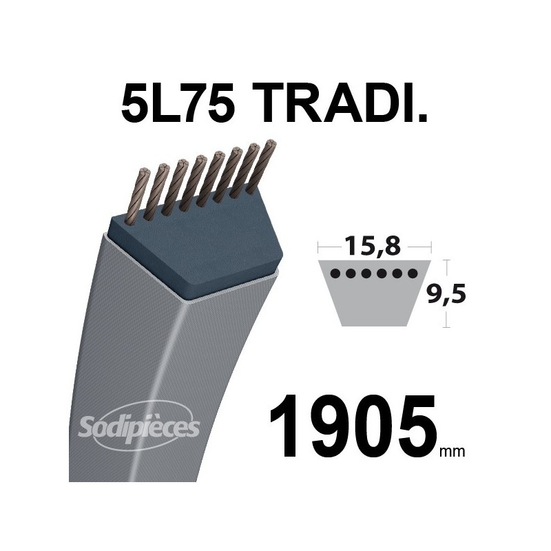 Courroie 5L750 Traditionnelle Trapézoïdale. 15,8 mm x 1905 mm.