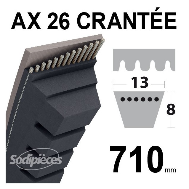 Courroie AX26 Trapézoïdale Crantée. 13 mm x 730 mm.