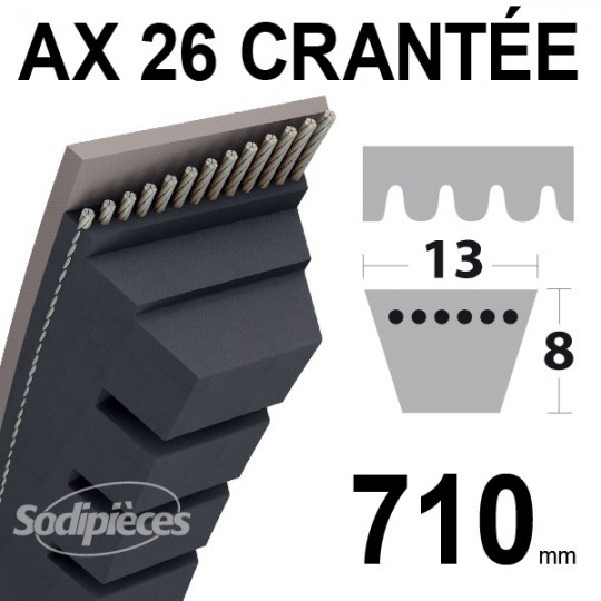 Courroie AX26 Trapézoïdale Crantée. 13 mm x 730 mm.