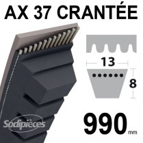 Courroie AX37 Trapézoïdale crantée. 13 mm x 990 mm.