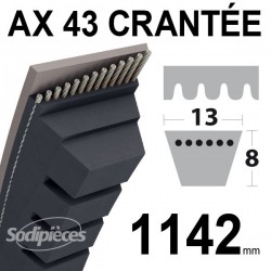Courroie AX43 Trapézoïdale crantée. 13 mm x 1142 mm.