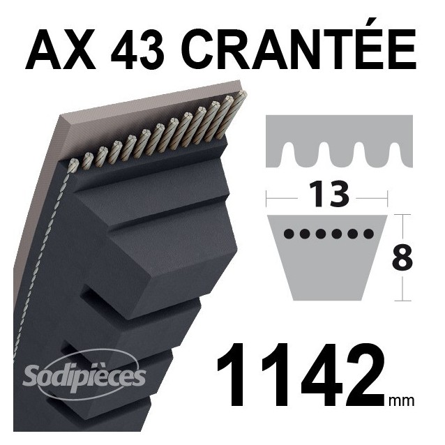 Courroie AX43 Trapézoïdale crantée. 13 mm x 1142 mm.