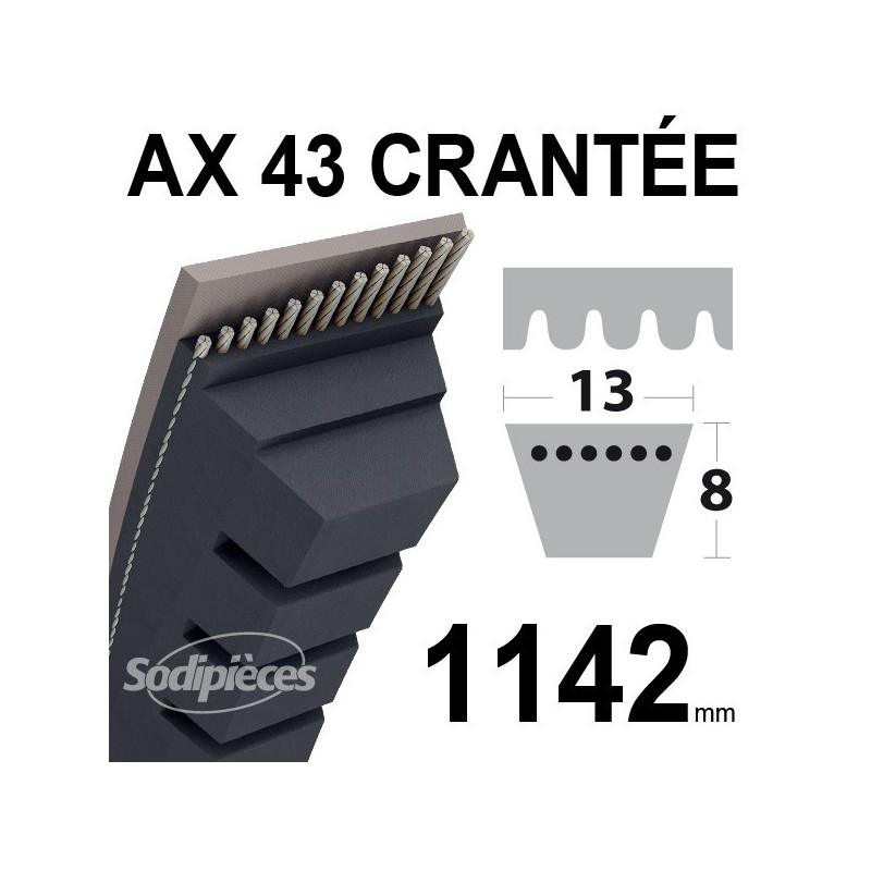 Courroie AX43 Trapézoïdale crantée. 13 mm x 1142 mm.