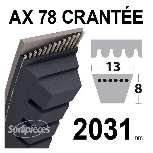 Courroie AX78 Trapézoïdale crantée. 13 mm x 2031 mm.