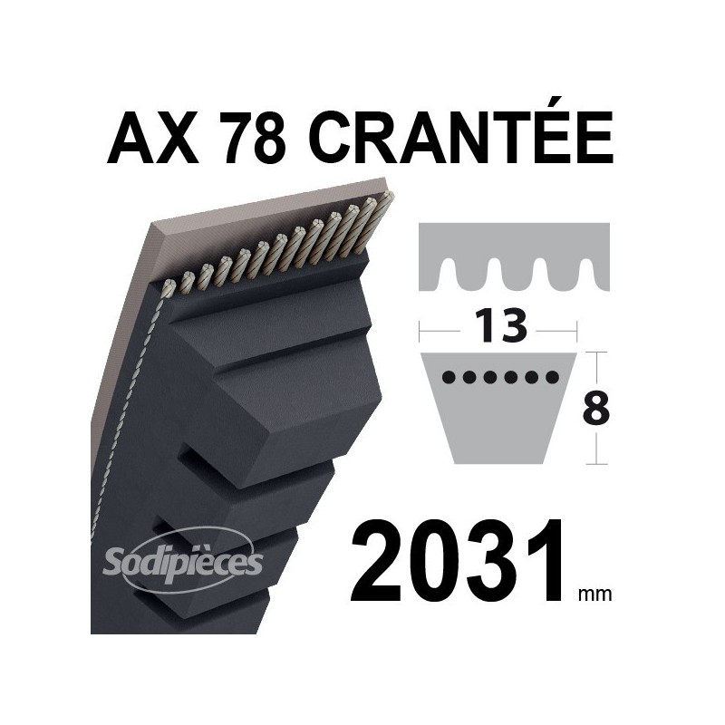 Courroie AX78 Trapézoïdale crantée. 13 mm x 2031 mm.