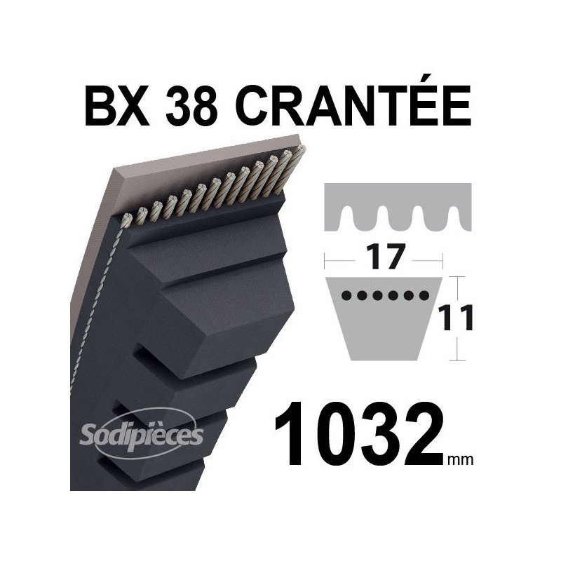 Courroie BX38 Trapézoïdale crantée. 17 mm x 1032 mm.