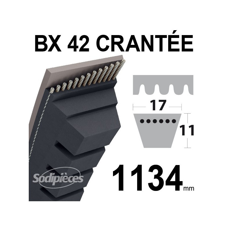 Courroie BX42 Trapézoïdale crantée. 17 mm x 1134 mm.
