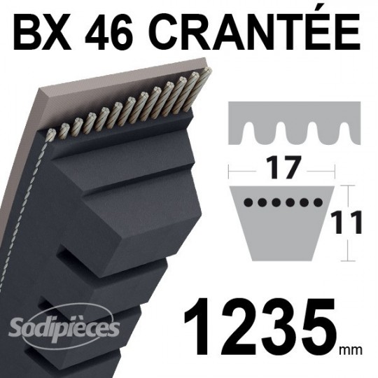 Courroie BX46 Trapézoïdale crantée. 17 mm x 1235 mm.