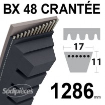 Courroie BX48 Trapézoïdale crantée. 17 mm x 1286 mm.