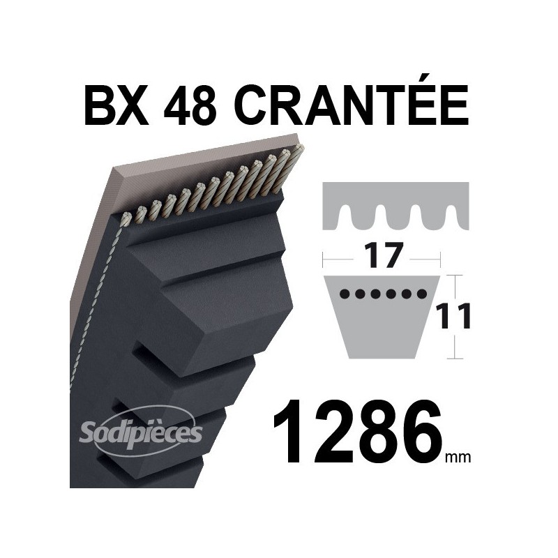 Courroie BX48 Trapézoïdale crantée. 17 mm x 1286 mm.